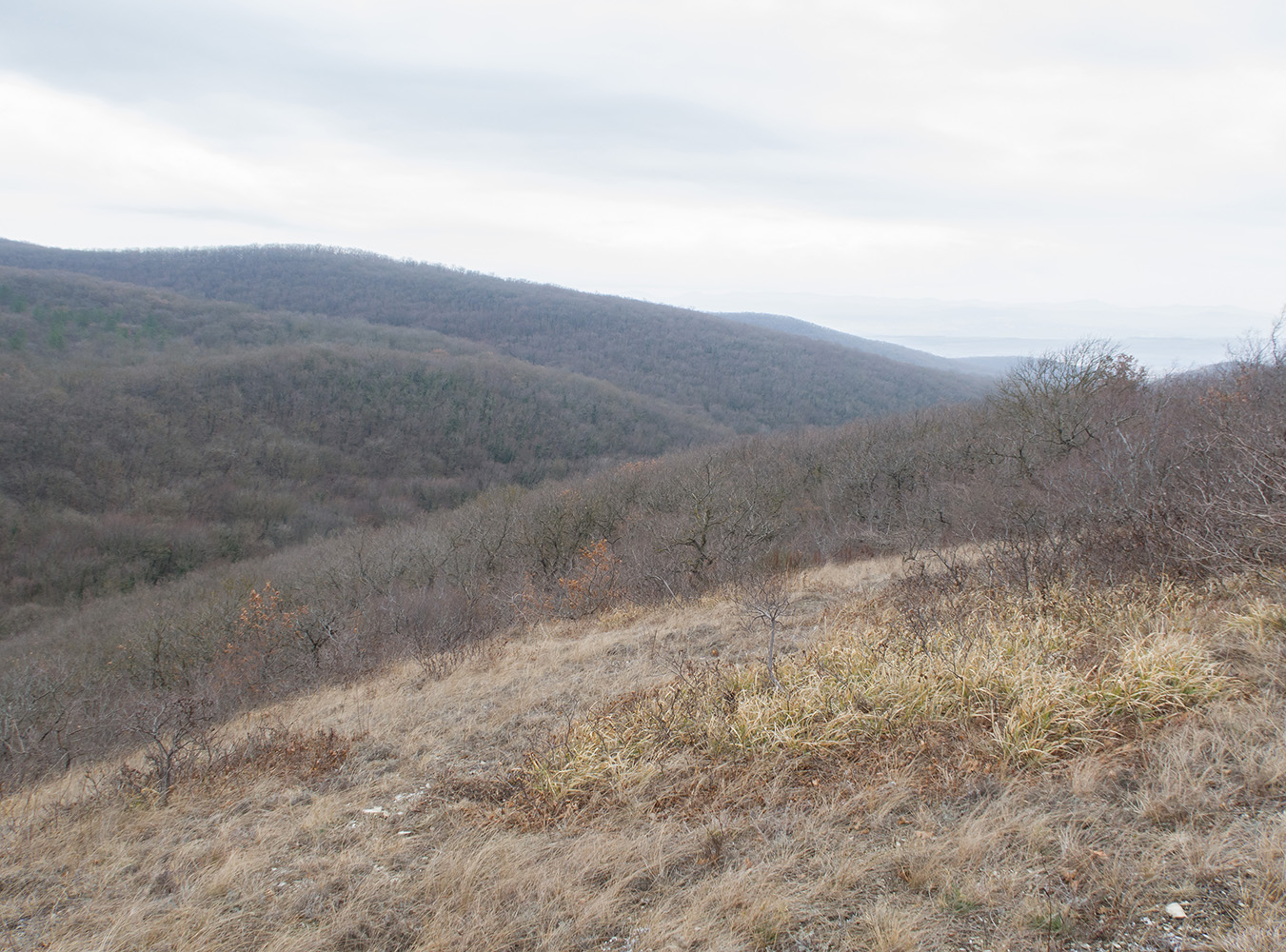 Олешкова щель, image of landscape/habitat.