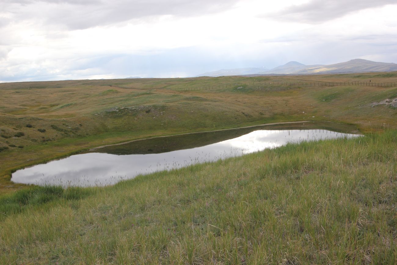 Окрестности Гусиного озера, image of landscape/habitat.