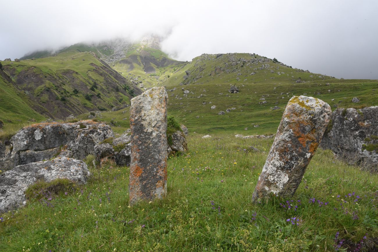 Альплагерь "Кязи" и окрестности, image of landscape/habitat.