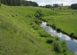 Полосня, image of landscape/habitat.