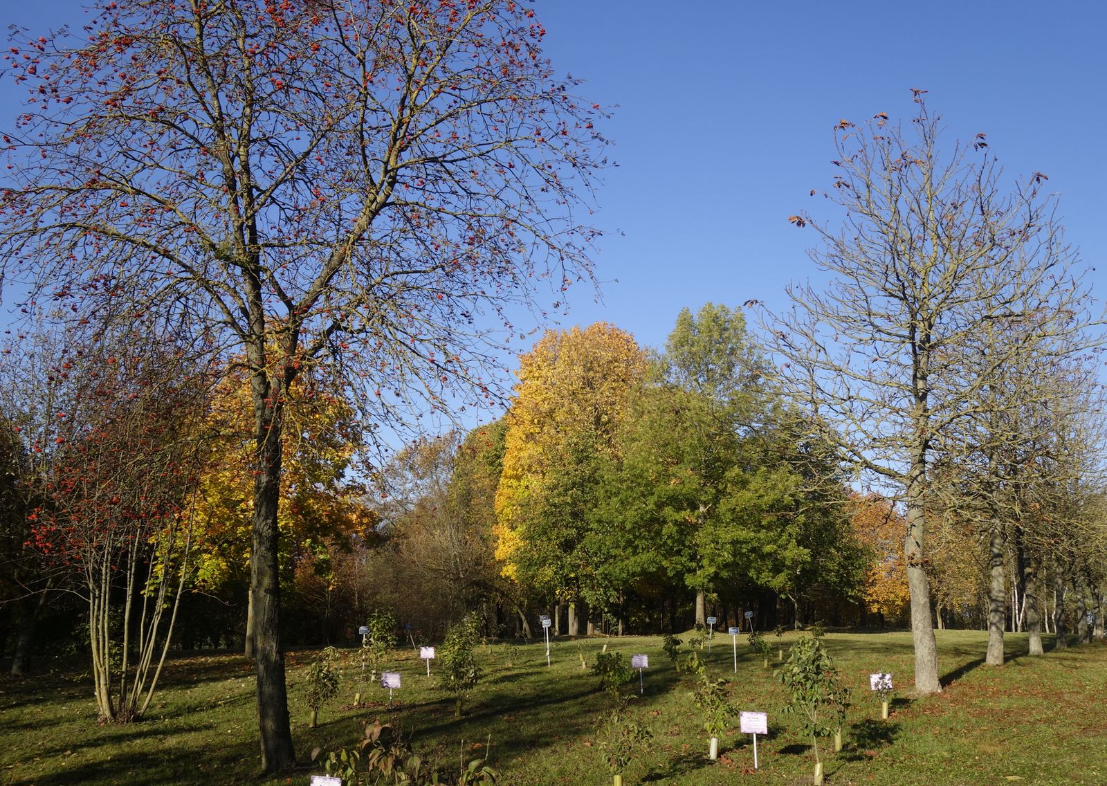 Коложа, image of landscape/habitat.