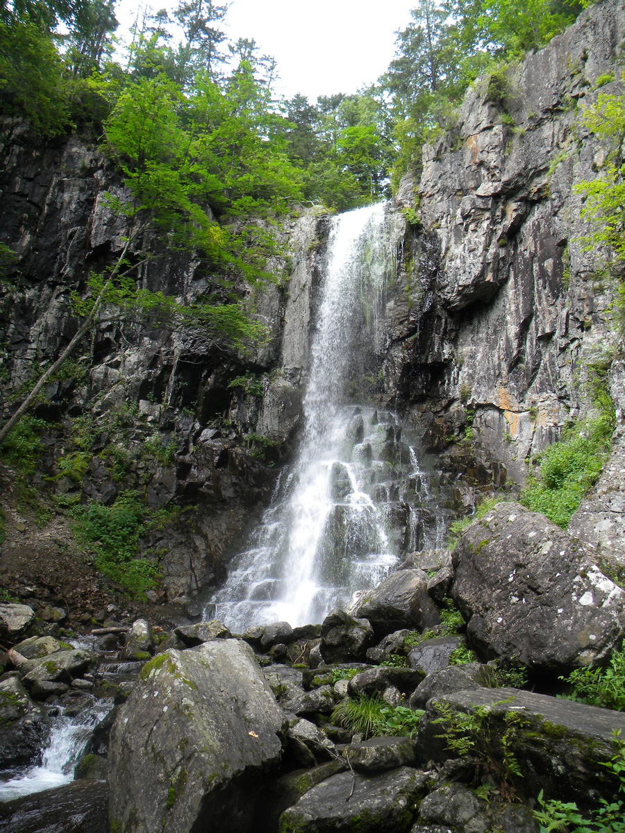 Долина реки Еломовский ключ, image of landscape/habitat.