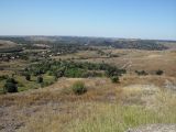 Кировск и окрестности, image of landscape/habitat.