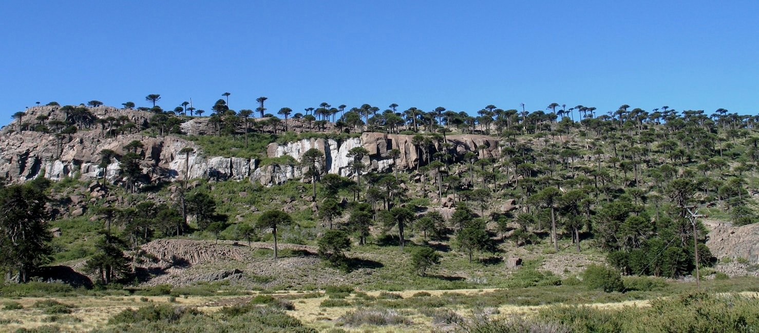 Национальный парк Copahue, image of landscape/habitat.