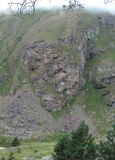Image of landscape