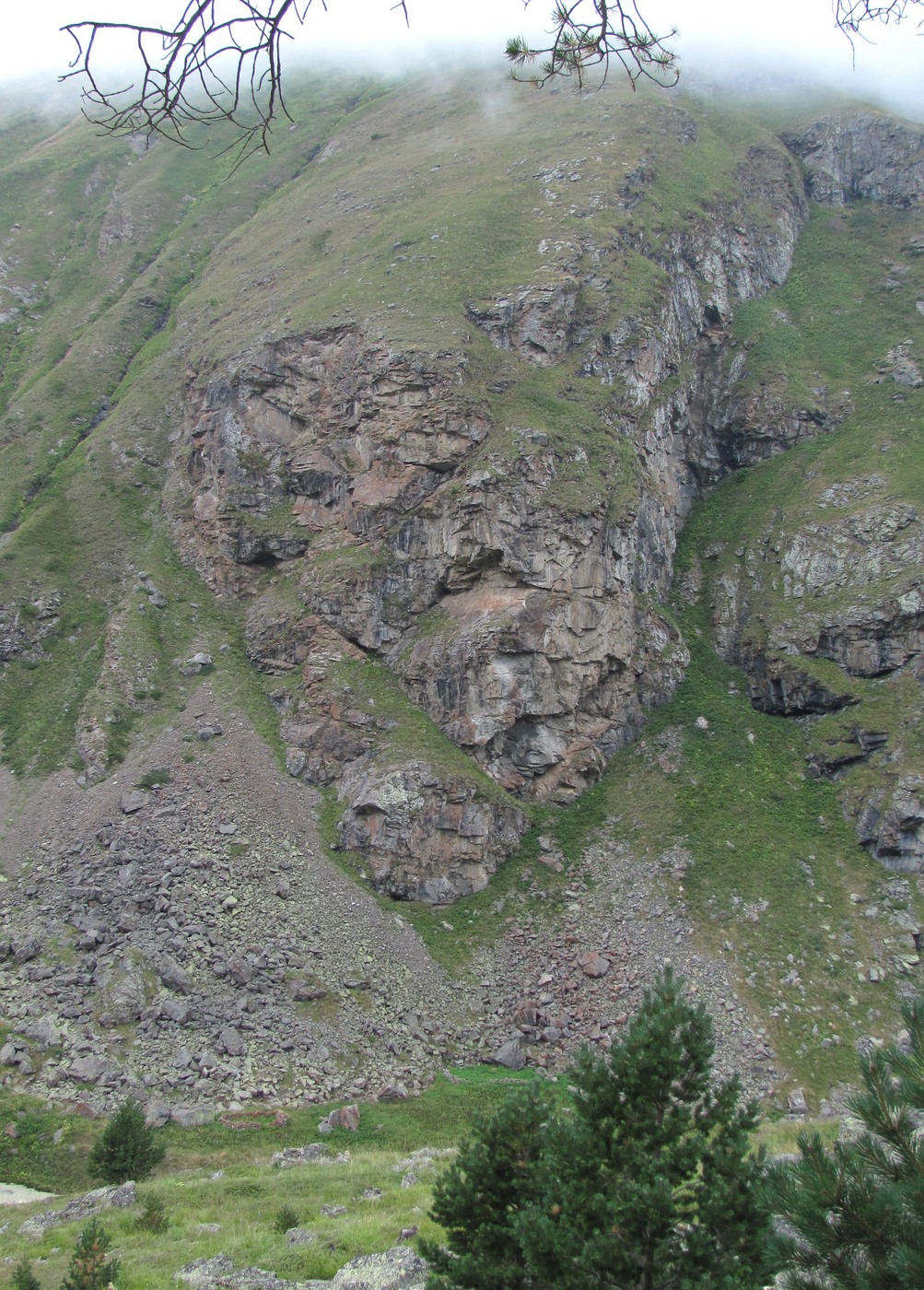 Долина реки Юсеньги, image of landscape/habitat.