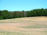 Image of landscape