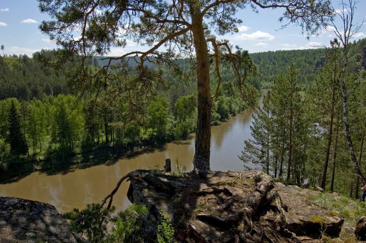 Окрестности Жеребчикова гребня, image of landscape/habitat.