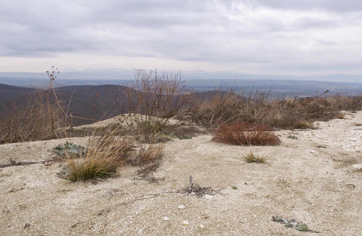 Карьер на горе Лысая, image of landscape/habitat.