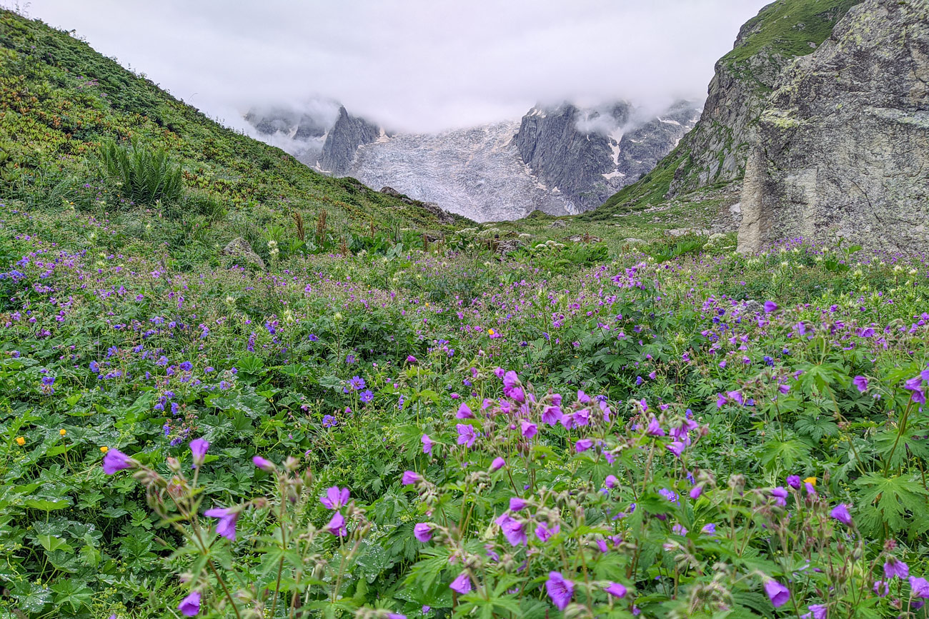 Долина реки Караугомдон, image of landscape/habitat.