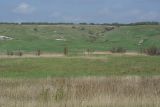 Image of landscape