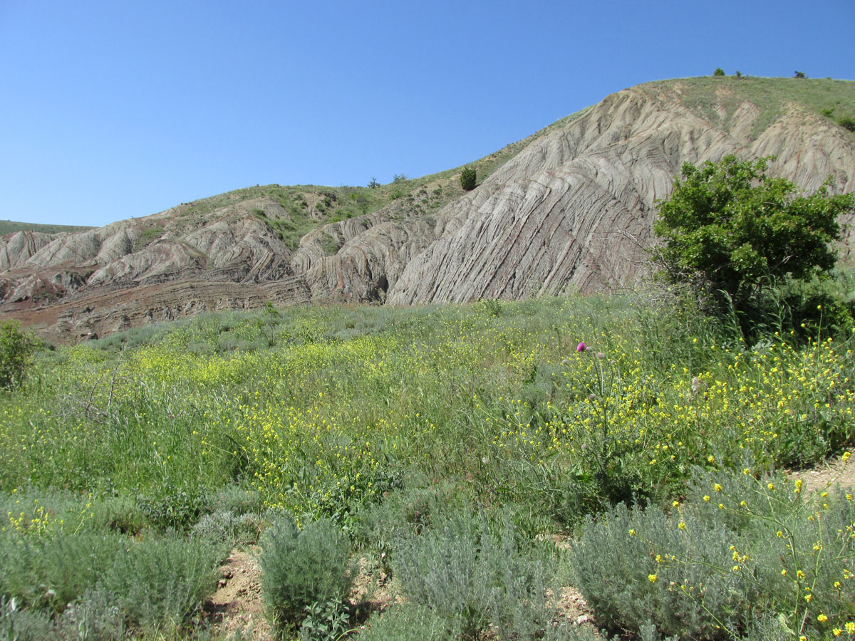 Лисья бухта, image of landscape/habitat.