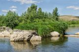 Ершовский, image of landscape/habitat.