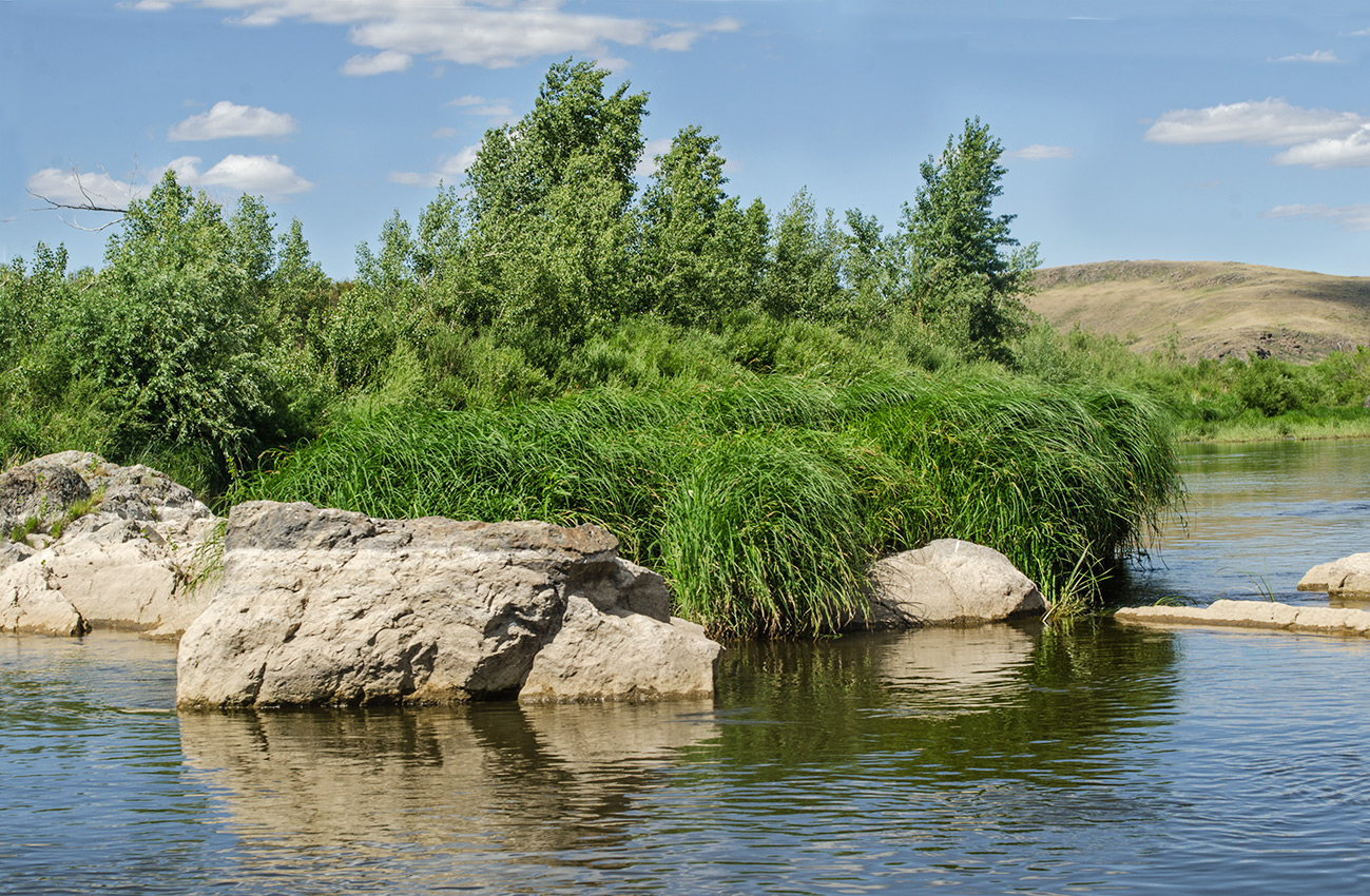 Ершовский, image of landscape/habitat.