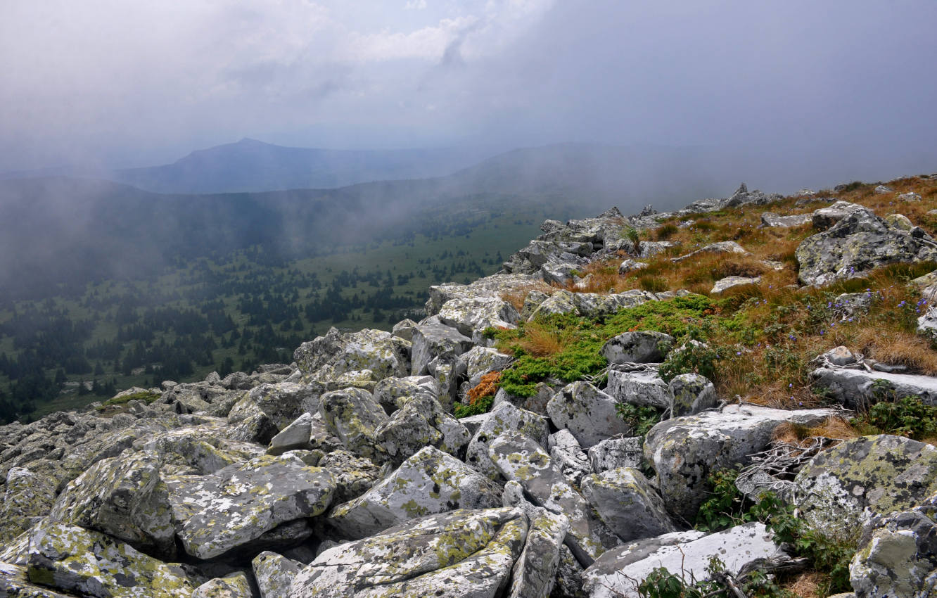 Хребет Зигальга, image of landscape/habitat.