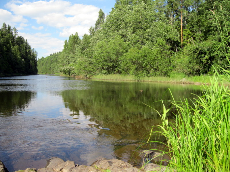 Природный заповедник Кивач, image of landscape/habitat.