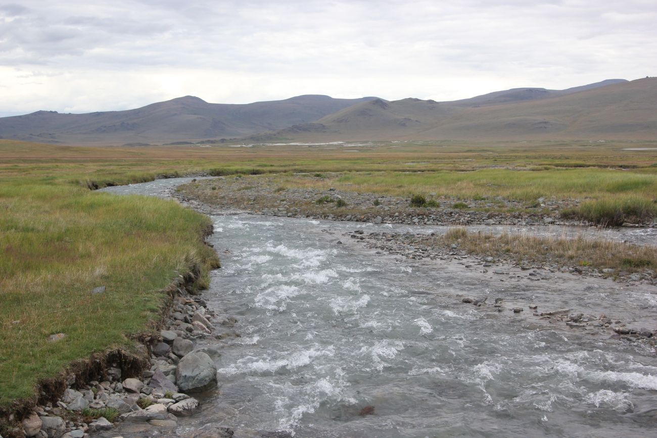 Окрестности Гусиного озера, image of landscape/habitat.