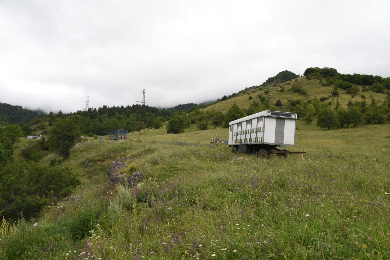 Нижний Кяхк и окрестности, image of landscape/habitat.