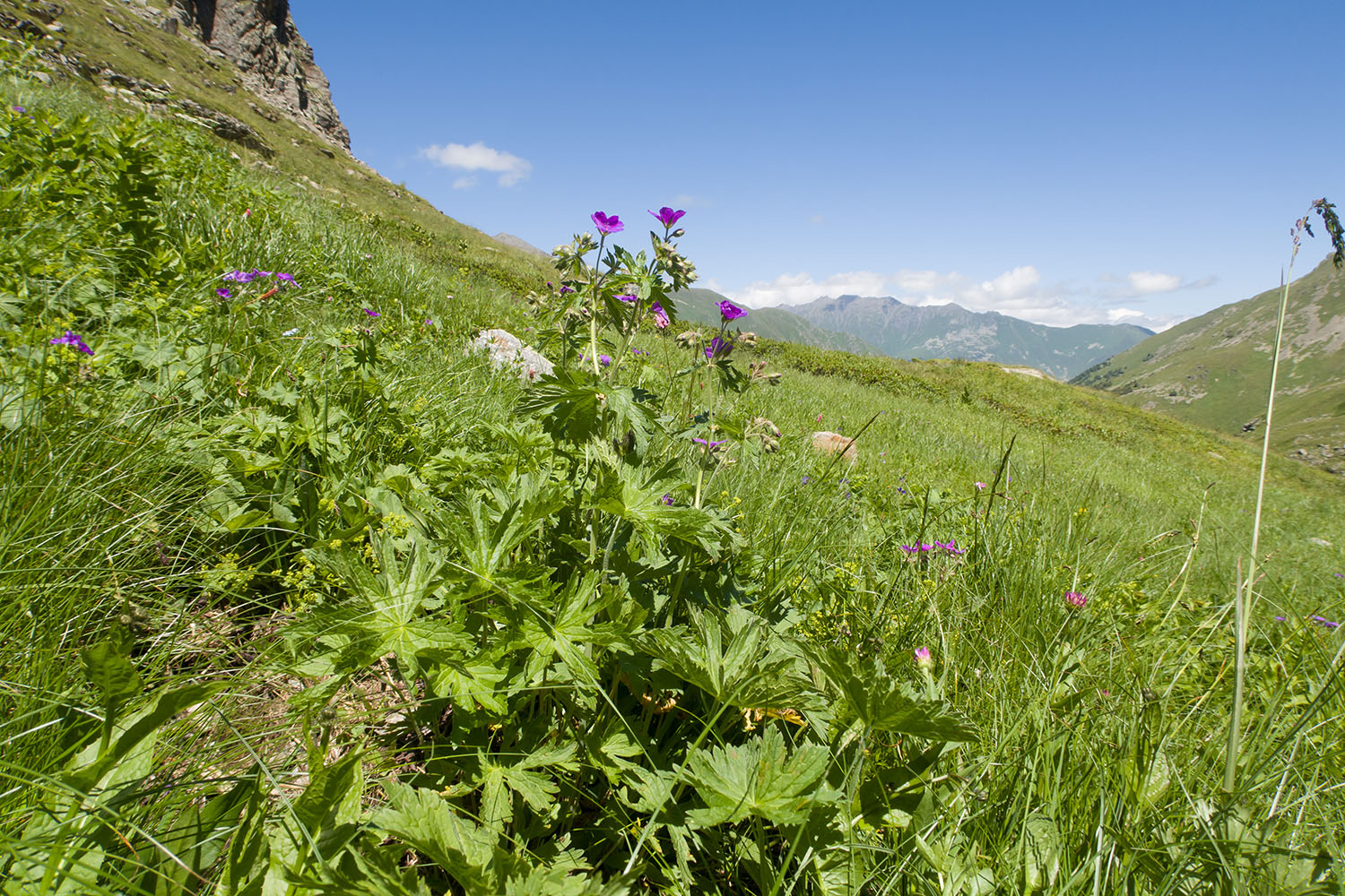 Верхний Имеретинский водопад, image of landscape/habitat.