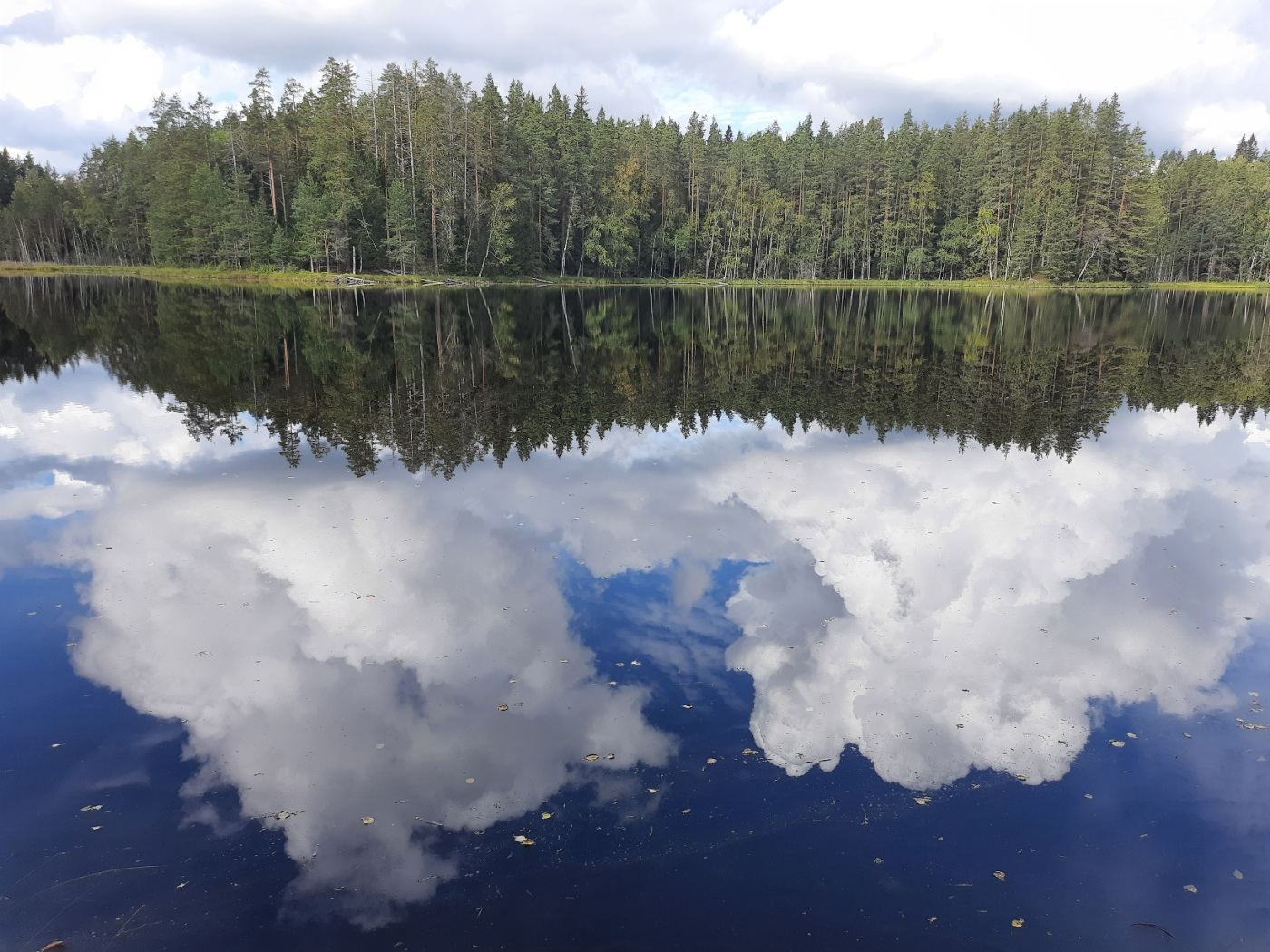 Окрестности Ихалы, image of landscape/habitat.