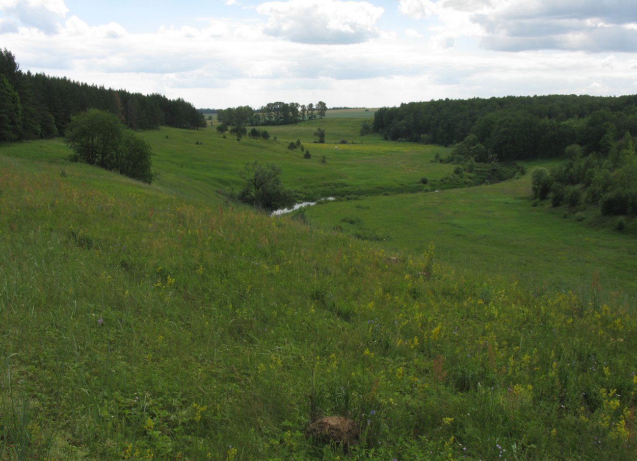 Полосня, image of landscape/habitat.