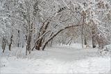 Кузьминский лесопарк, изображение ландшафта.