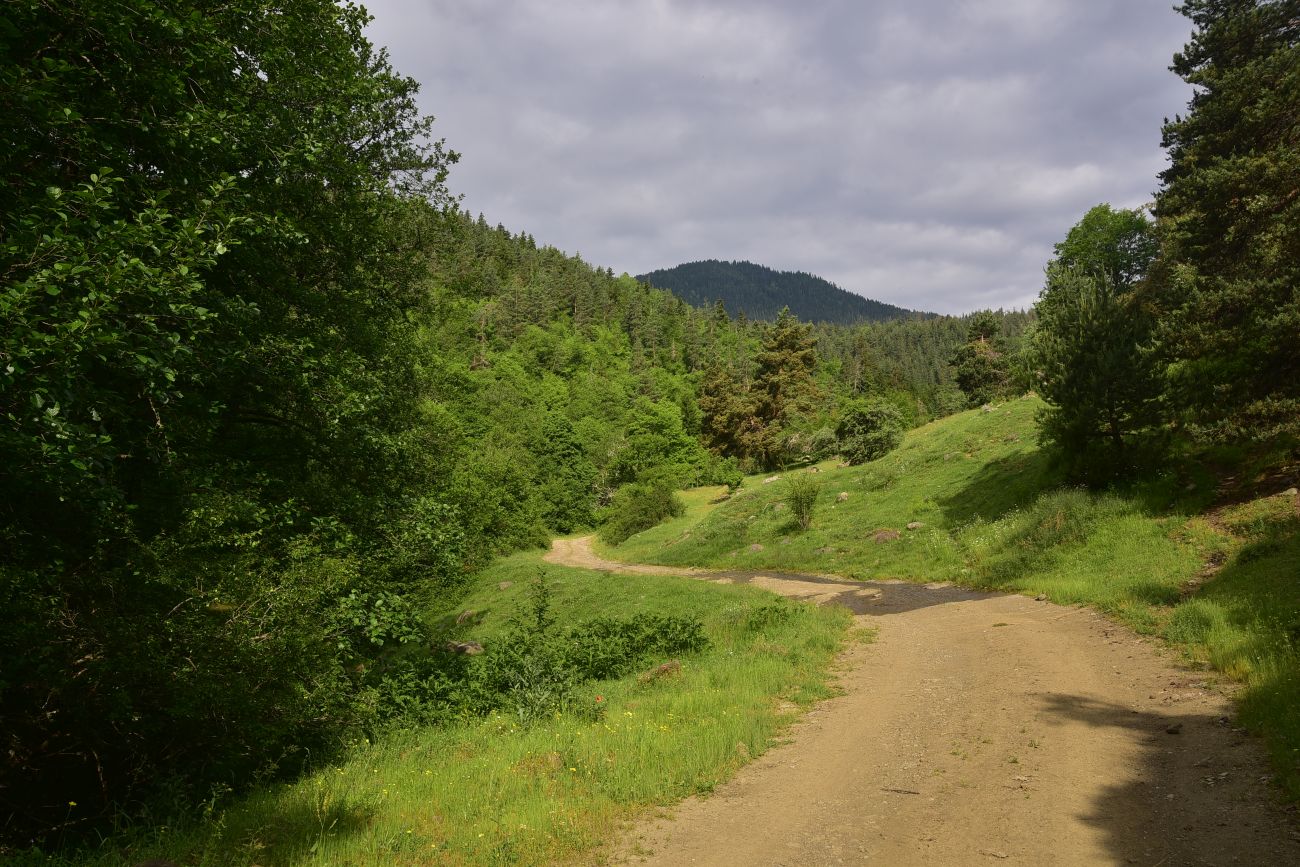 Цинубанская баня, image of landscape/habitat.