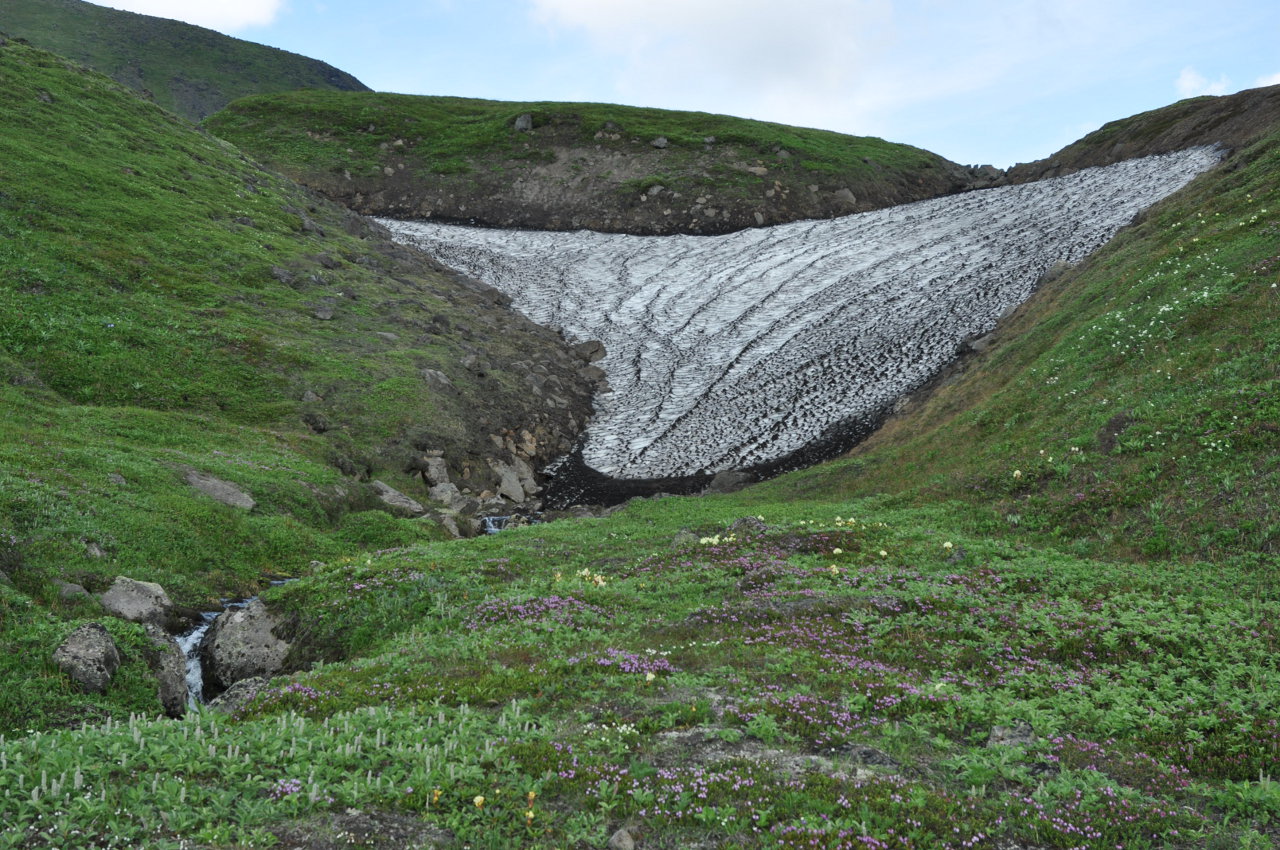 Перевал Толбачинский, image of landscape/habitat.