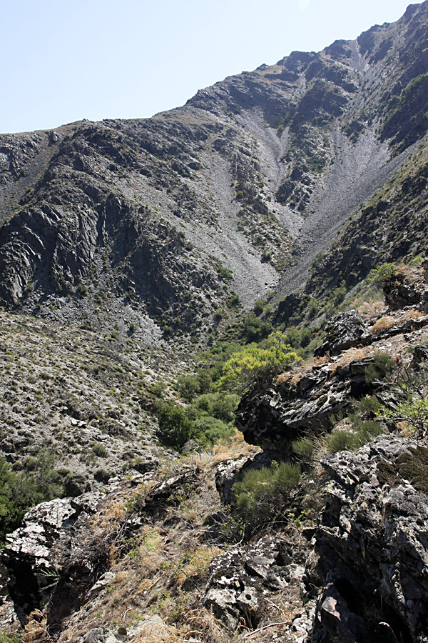 Ущелье Саясу, изображение ландшафта.