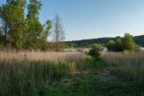 Image of landscape