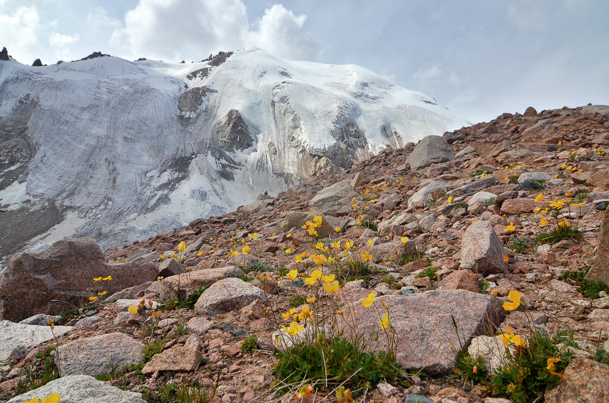 Верховья Малой Алматинки, изображение ландшафта.