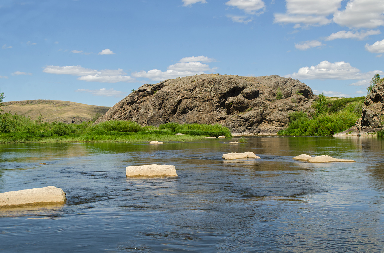 Ершовский, image of landscape/habitat.