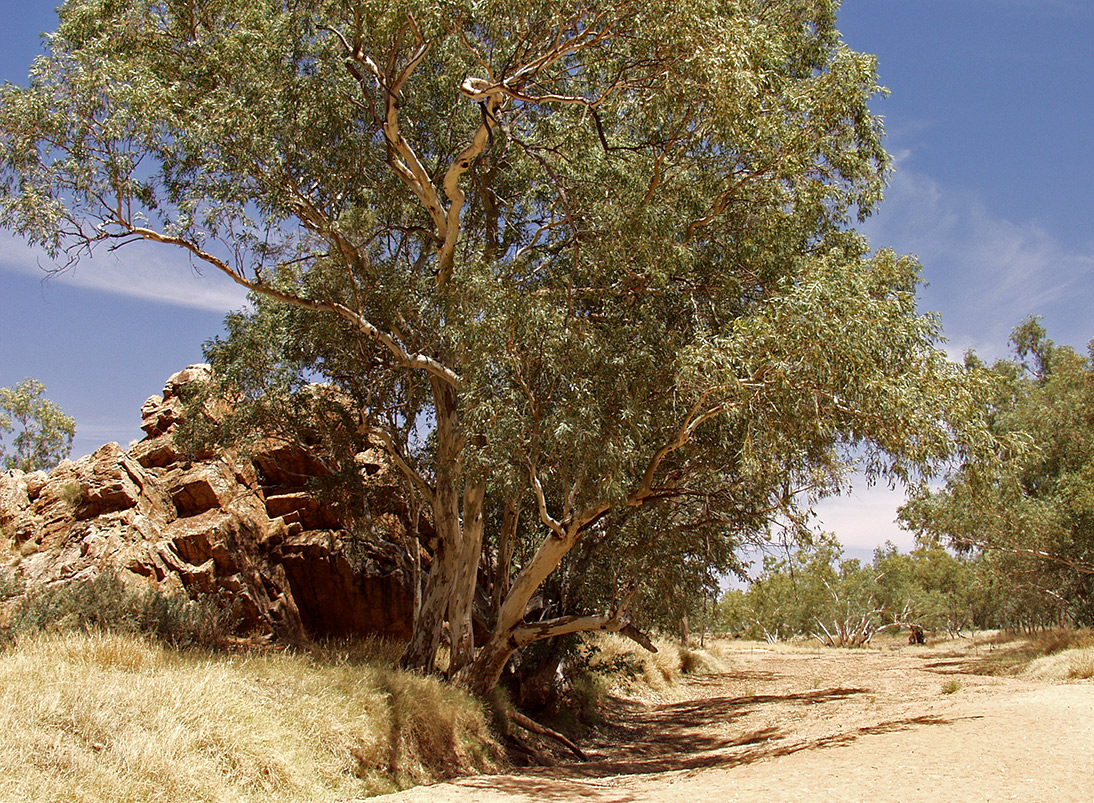 Emily and Jessie Gaps, image of landscape/habitat.