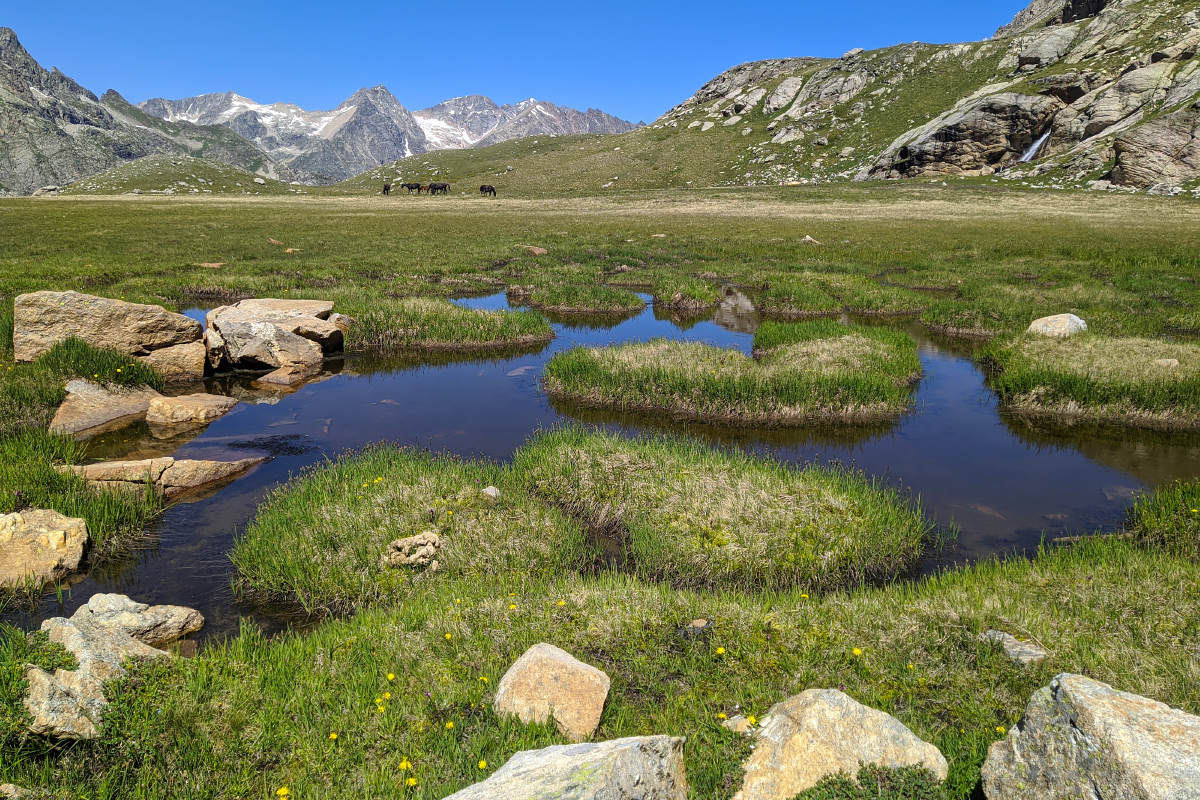 Долина реки Таллычат, image of landscape/habitat.