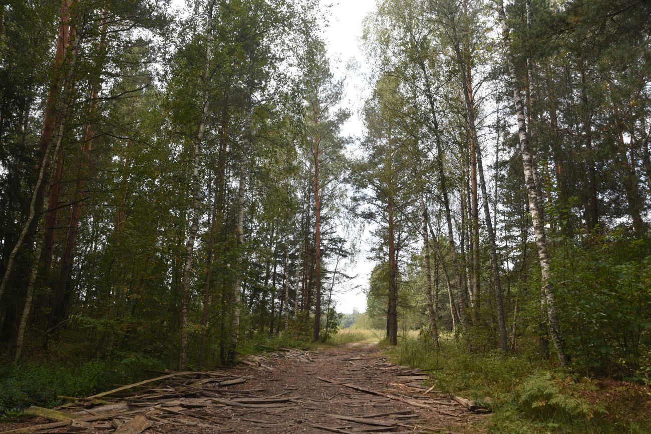 Ягодное, image of landscape/habitat.