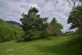 Цинубанская баня, image of landscape/habitat.