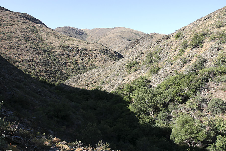 Ущелье Саясу, image of landscape/habitat.