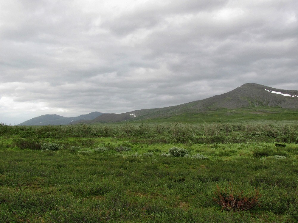 Лёкъелец, image of landscape/habitat.