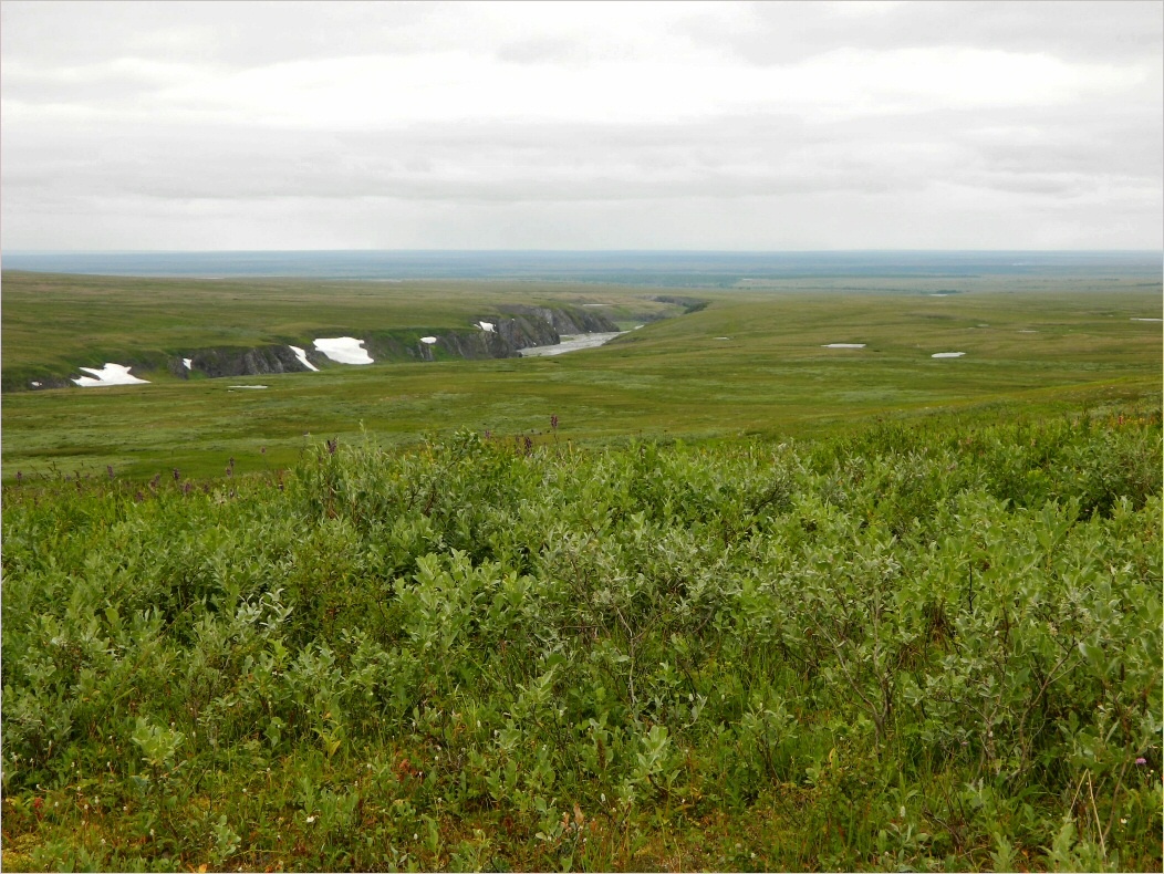 Большая Хойлаю, image of landscape/habitat.