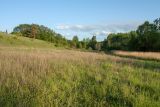 Image of landscape