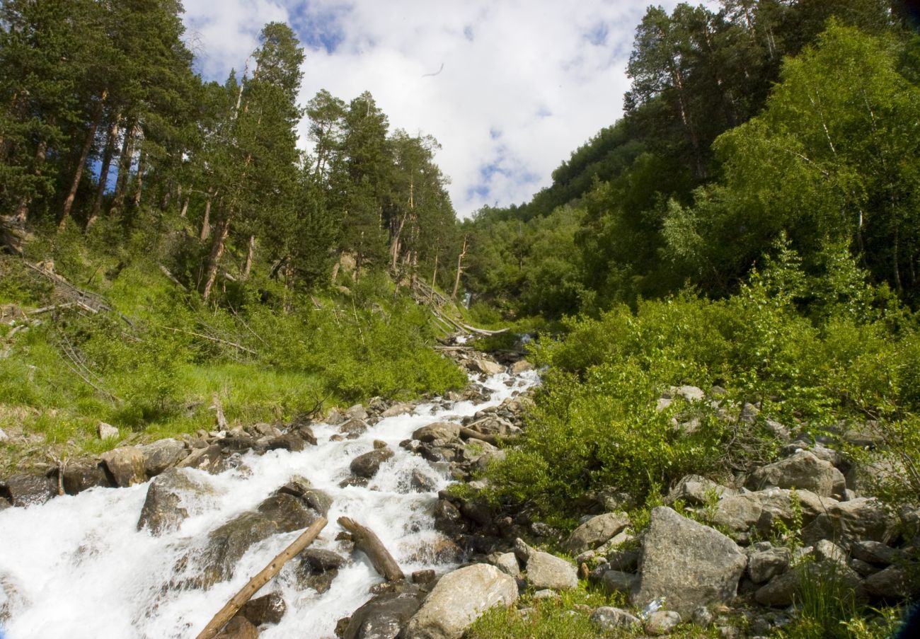 Гора Донгуз-Орун-Гитче-Кара-Баши, image of landscape/habitat.