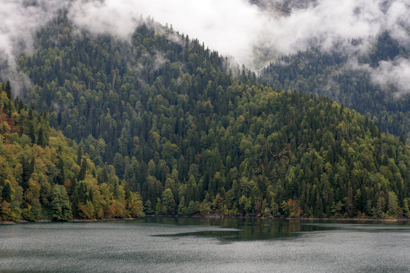 Рица, image of landscape/habitat.