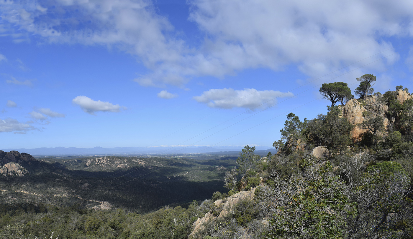 Sant Feliu de Guixols, image of landscape/habitat.