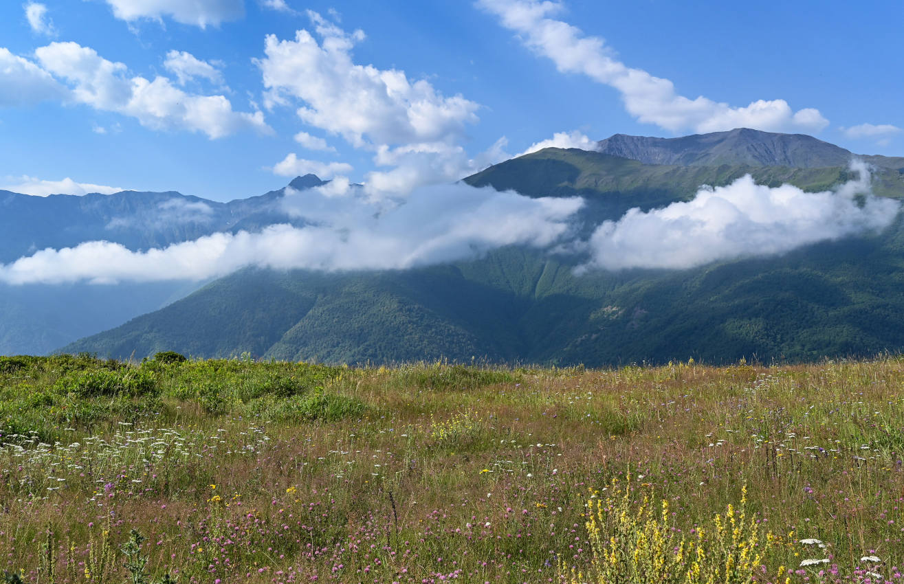 Ведучи, image of landscape/habitat.