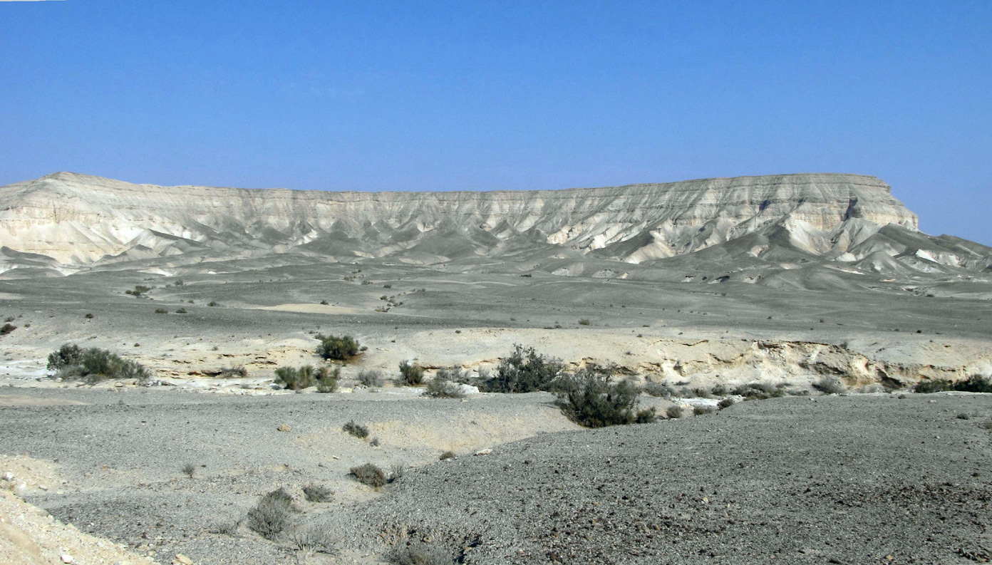 Иудейская пустыня, image of landscape/habitat.