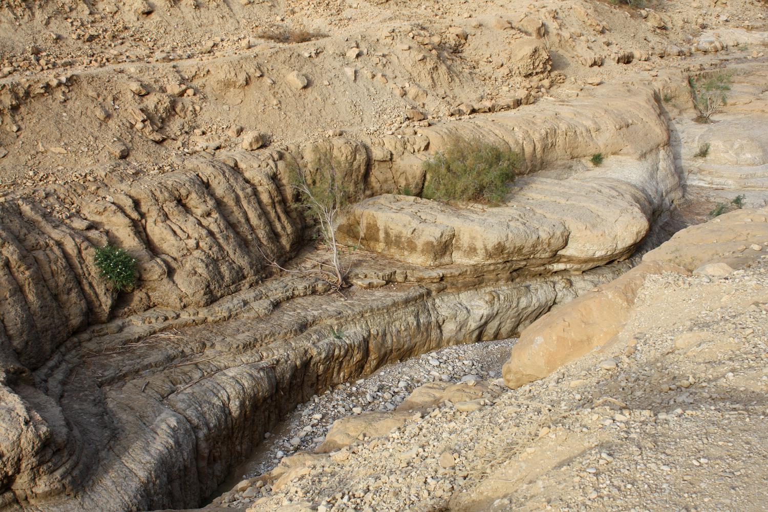 Эйн-Геди, image of landscape/habitat.