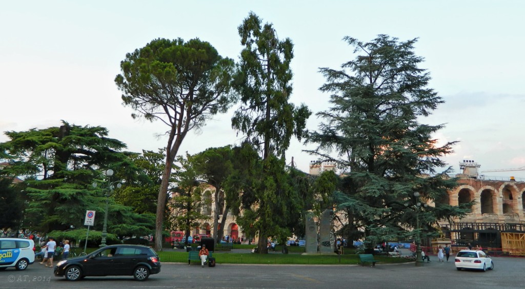 Верона и окрестности, image of landscape/habitat.