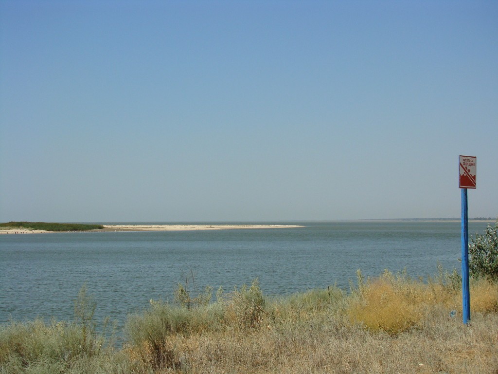 Бейсугский лиман, image of landscape/habitat.