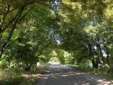 Image of landscape