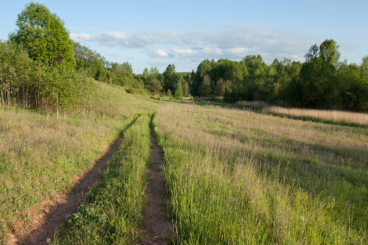 Изборско-Мальская долина, image of landscape/habitat.